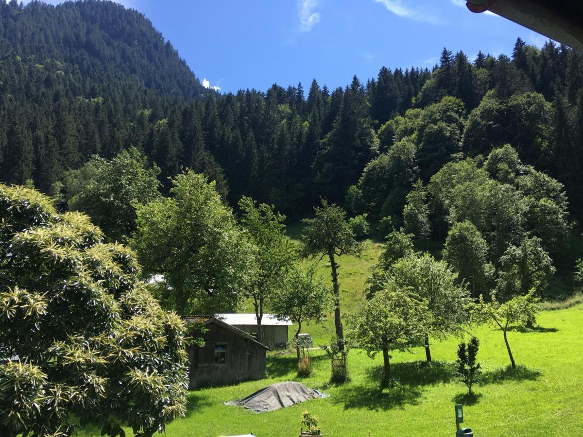 Appartement Haus Galgenul à Sankt Gallenkirch Extérieur photo