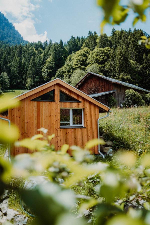 Appartement Haus Galgenul à Sankt Gallenkirch Extérieur photo