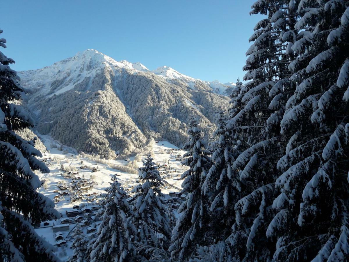 Appartement Haus Galgenul à Sankt Gallenkirch Extérieur photo